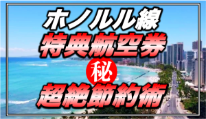 【2023改悪】ヴァージン・アトランティック航空のホノルル線往復4.5万マイル&燃油サーチャージ無料で予約する裏技